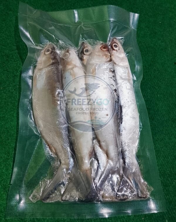 Jual Bandeng Frozen Vakum 500 Gram – Segar, Praktis, Siap Kirim Seluruh Indonesia - Gambar 2