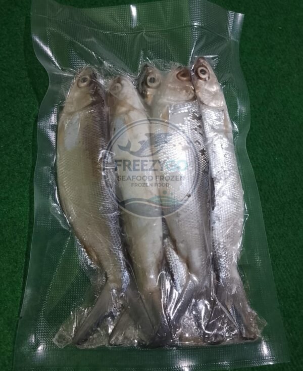 Jual Bandeng Frozen Vakum 500 Gram – Segar, Praktis, Siap Kirim Seluruh Indonesia - Gambar 6
