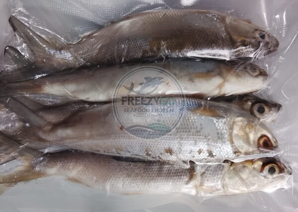 Jual Bandeng Frozen Vakum 500 Gram – Segar, Praktis, Siap Kirim Seluruh Indonesia - Gambar 4