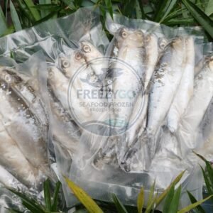 Jual Bandeng Frozen Vakum 500 Gram – Segar, Praktis, Siap Kirim Seluruh Indonesia
