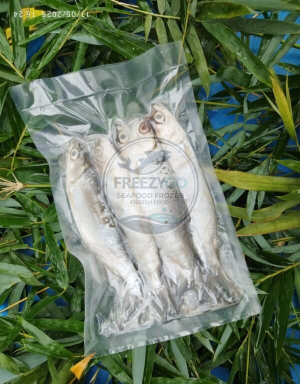 Jual Bandeng Frozen Vakum 500 Gram – Segar, Praktis, Siap Kirim Seluruh Indonesia - Gambar 3
