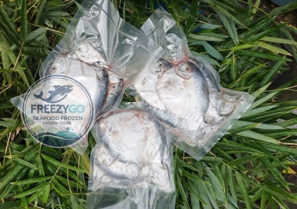 Jual Ikan Semar Frozen Vakum 500 Gram – Beku Segar &Amp; Higienis, Siap Kirim Ke Seluruh Indonesia - Gambar 4