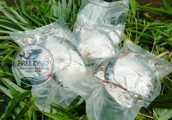 Jual Ikan Semar Frozen Vakum 500 Gram – Beku Segar &Amp; Higienis, Siap Kirim Ke Seluruh Indonesia - Gambar 3