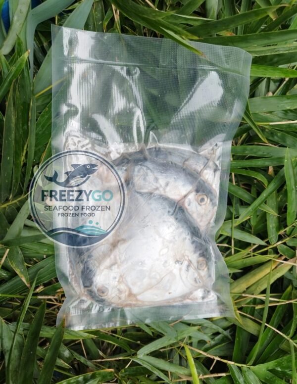 Jual Ikan Semar Frozen Vakum 500 Gram – Beku Segar &Amp; Higienis, Siap Kirim Ke Seluruh Indonesia - Gambar 2