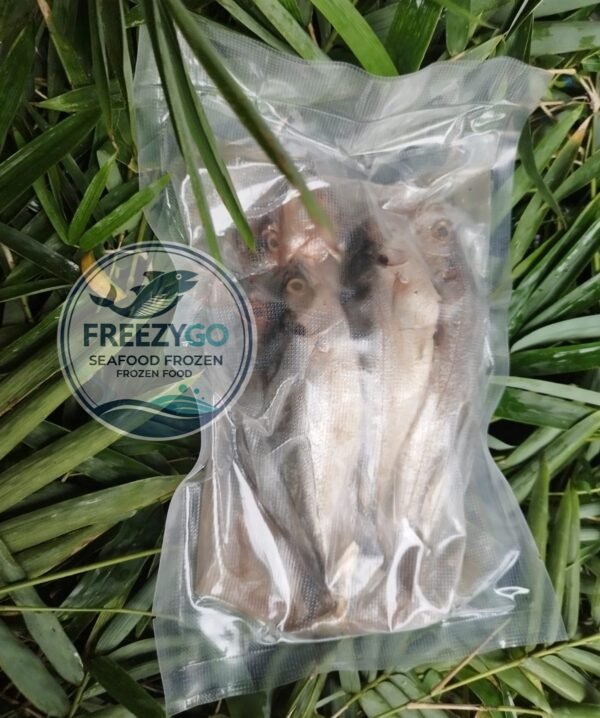 Jual Ikan Kembung Frozen Vakum 500 Gram – Beku Segar, Higienis &Amp; Bisa Dikirim Ke Seluruh Indonesia - Gambar 2