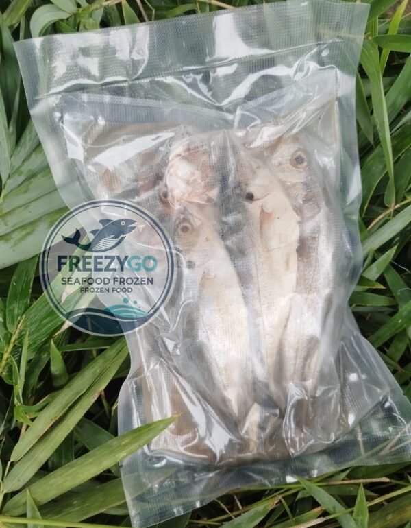 Jual Ikan Kembung Frozen Vakum 500 Gram – Beku Segar, Higienis &Amp; Bisa Dikirim Ke Seluruh Indonesia