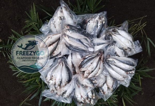Jual Ikan Kembung Frozen Vakum 500 Gram – Beku Segar, Higienis &Amp; Bisa Dikirim Ke Seluruh Indonesia - Gambar 3