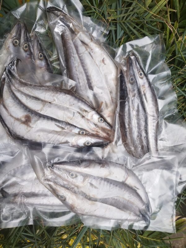 Jual Ikan Cucut Frozen 500 Gram – Freezygo Kediri